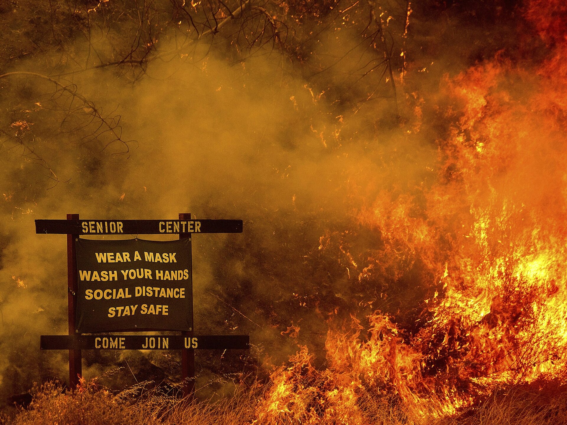 Https www graphicalhouse com media journal Climate Change covid wildfire jpegv1636469743