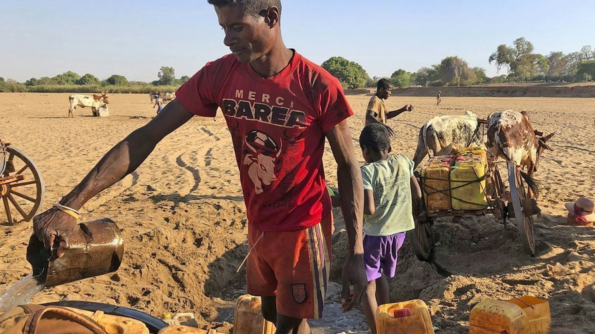 Https www graphicalhouse com media journal Climate Change 1200x800 jpegv1636036637